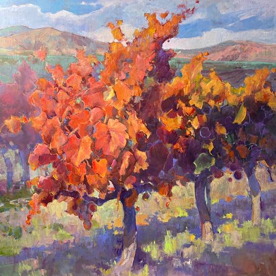 Lemberger Vines