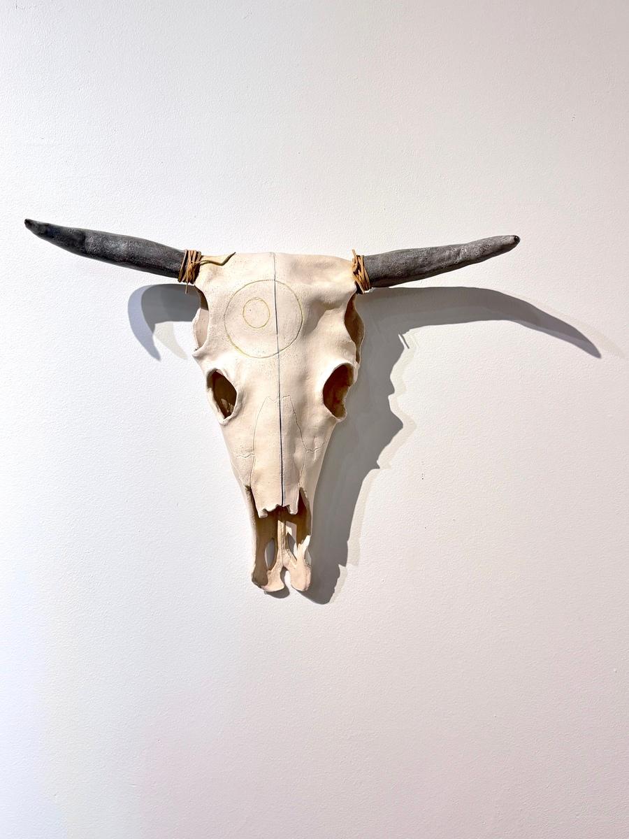 Cow Skull